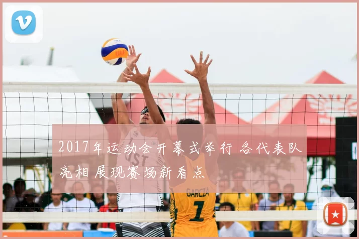 2017年运动会开幕式举行 各代表队亮相 展现赛场新看点