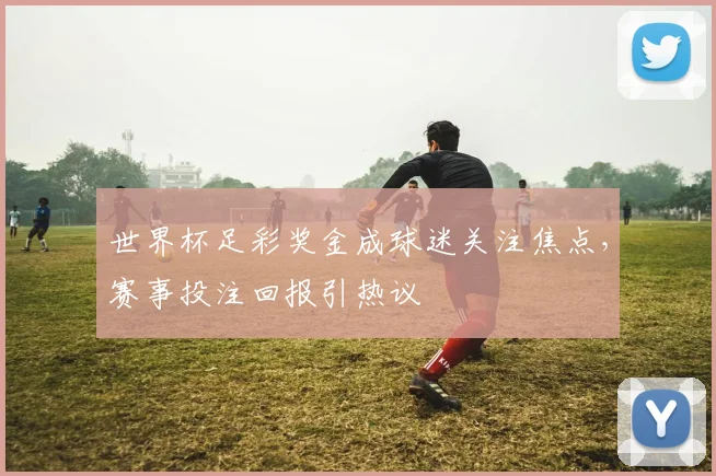 世界杯足彩奖金成球迷关注焦点,赛事投注回报引热议